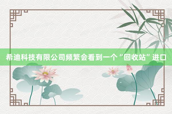 希迪科技有限公司频繁会看到一个“回收站”进口